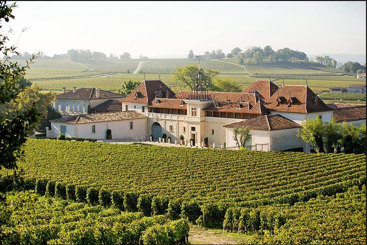 Vignobles et paysages